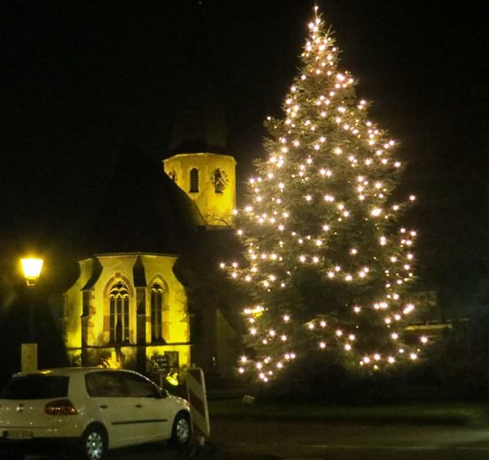 Weihnachtsbaum vor der Evangelischen Kirche in Eggenstein